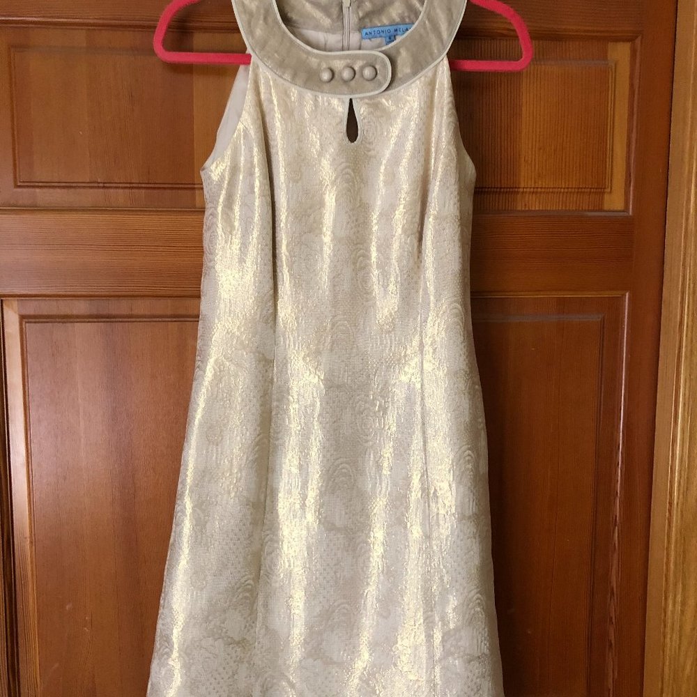 Antonio Melani Gold Dress
